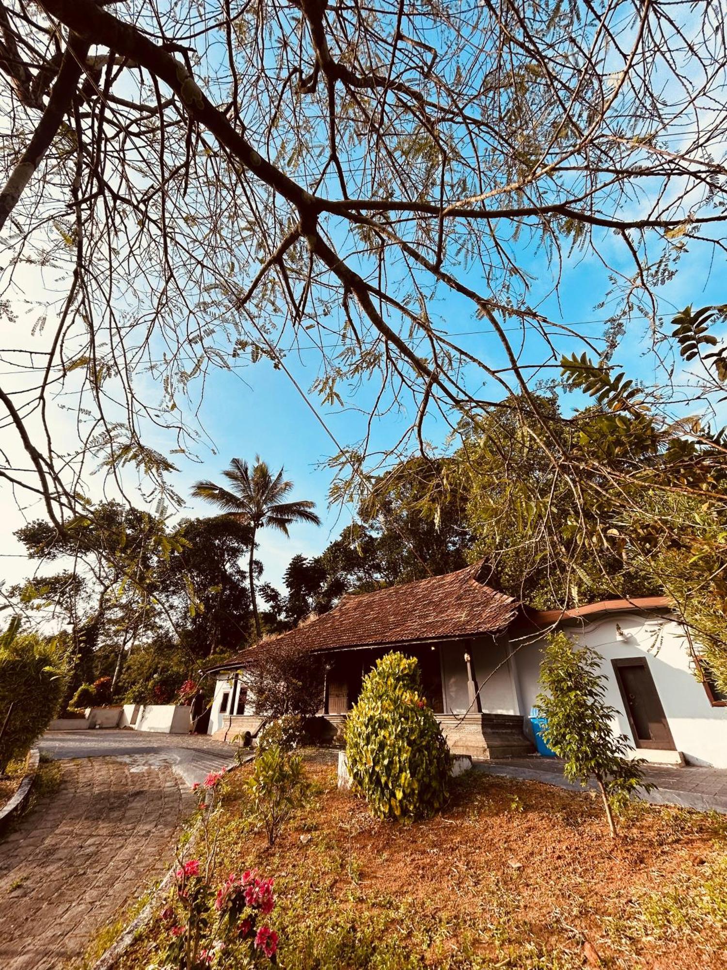Silent House Villa Kudayattur Exterior photo